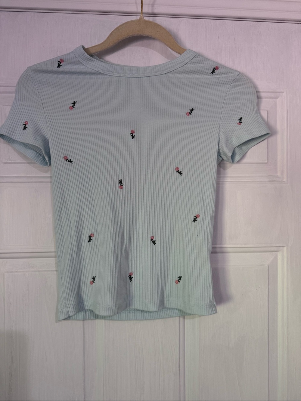 American Eagle Outfitters Light Blue Ribbed Tee with Pink Rose Motif